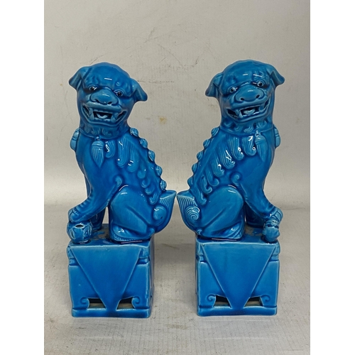 328 - A PAIR OF CHINESE TURQUOISE GLAZED POTTERY FOO DOGS - 20 CM