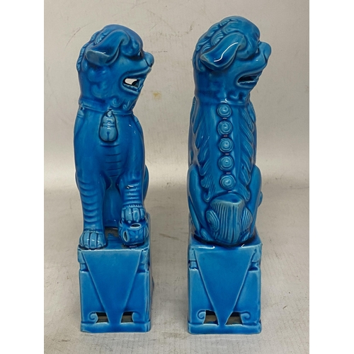 328 - A PAIR OF CHINESE TURQUOISE GLAZED POTTERY FOO DOGS - 20 CM