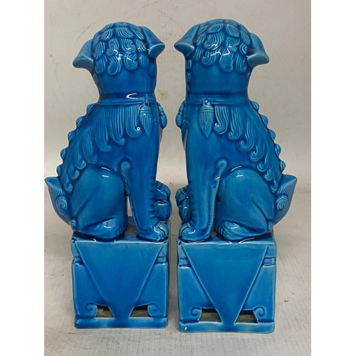 328 - A PAIR OF CHINESE TURQUOISE GLAZED POTTERY FOO DOGS - 20 CM