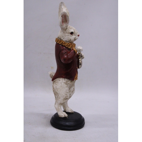 136 - A WHITE RABBIT STANDING UP HOLDING A POCKET WATCH, HEIGHT 32CM