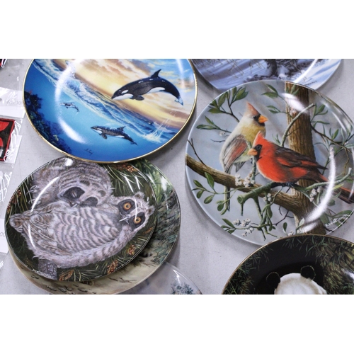 190 - TEN CABINET PLATES TO INCLUDE SEVEN, BRADEX, 'LAST OF THEIR KIND: THE ENDANGERED SPECIES 1989'