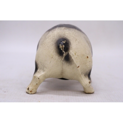 224 - A CAST PIG MONEY BOX