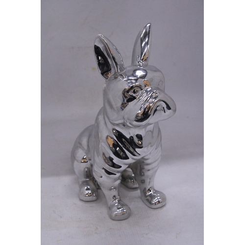 99 - A CHROME FIGURE OF A BULLDOG - 29.5 CM (H)