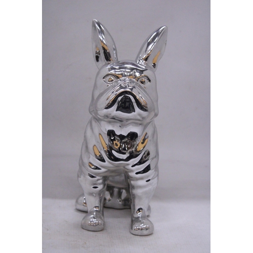 99 - A CHROME FIGURE OF A BULLDOG - 29.5 CM (H)