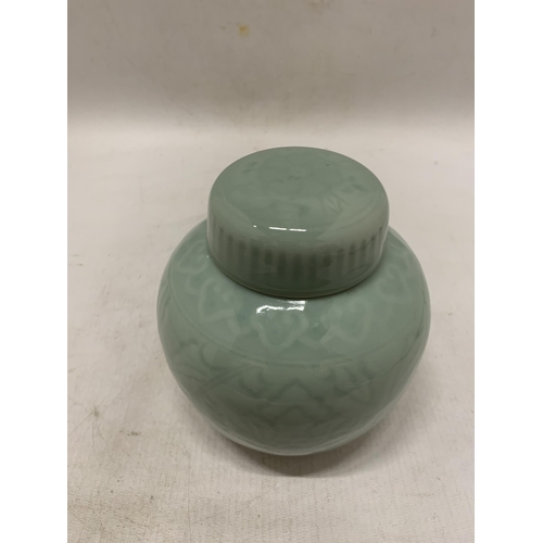 356 - A CHINESE CELADON GREEN GLAZED SPICE/GINGER JAR WITH FLORAL LEAF MOTIF DESIGN (CHIP TO INNER RIM OF ... 