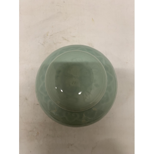 356 - A CHINESE CELADON GREEN GLAZED SPICE/GINGER JAR WITH FLORAL LEAF MOTIF DESIGN (CHIP TO INNER RIM OF ... 