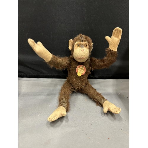 34A - A VINTAGE STEIFF JOCKO MONKEY WITH EAR BUTTON AND LABEL