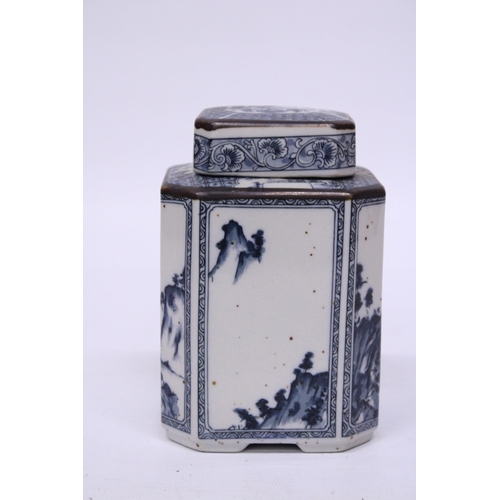 387 - A JAPANESE HEXAGONAL TEA CADDY