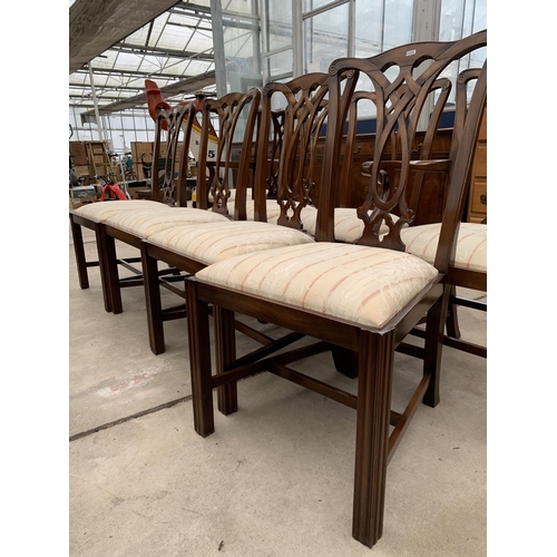 3120 - A SET OF EIGHT RACKSTRAW CHIPPENDALE STYLE DINING CHAIRS TWO BEING CARVERS