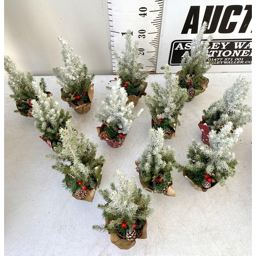 20 - TWELVE CHRISTMAS CONIFER PLANTS GIFT WRAPPED WITH CHRISTMAS ACCESSORIES. APPROX 40CM IN HEIGHT ON A ... 