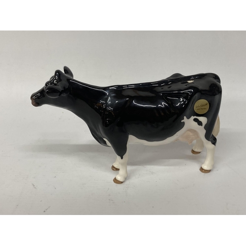 825 - A JOHN BESWICK HOLSTEIN COW WITH A GLOSS FINISH