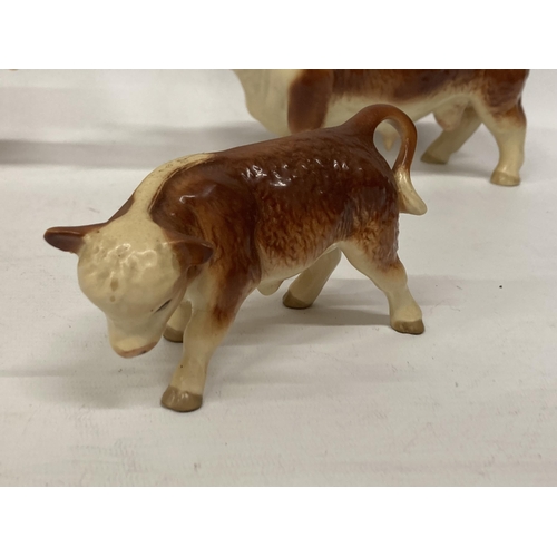 826 - A LARGE HEREFORD BULL AND COW IN A MATT FINISH TOGETHER WITH A CALF