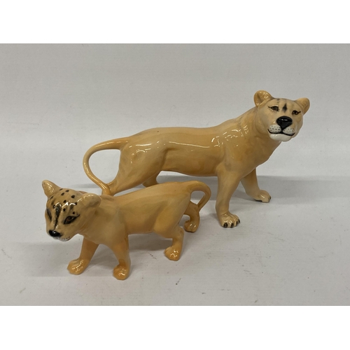 823 - A LARGE BESWICK LIONESS AND CUB