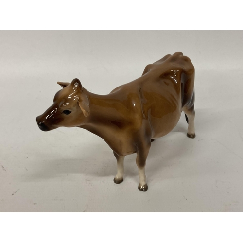 824 - A JOHN BESWICK JERSEY COW FIGURE WITH A GLOSS FINISH