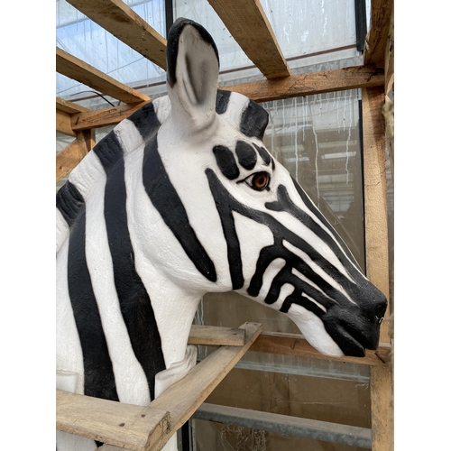 1504 - A LARGE FIBRE GLASS GARDEN FIGURE OF A ZEBRA (H:183CM L:180CM)