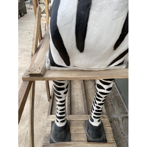 1504 - A LARGE FIBRE GLASS GARDEN FIGURE OF A ZEBRA (H:183CM L:180CM)