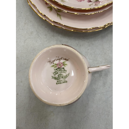 113A - A TUSCAN FINE ENGLISH BONE CHINA 