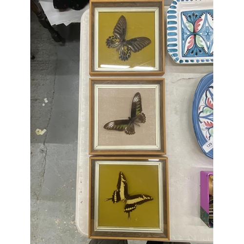 129 - THREE CASED TAXIDERMY BUTTERFLIES