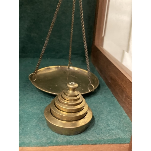 74 - A PAIR OF BRASS BALANCE SCALES IN A GLASS CASE WITH WEIGHTS TO INCLUDE TROY OZ, DWTS AND A 4 GRAIN W... 