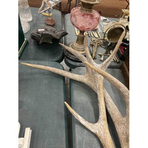 82 - A PAIR OF STAG ANTLERS