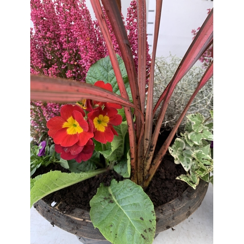 37 - TWO PLANTERS FILLED WITH WINTER BEDDING TO INCLUDE PANSIES, LEUCOPHYTA, PHORMIUM ETC. PLANTERS MEASU... 