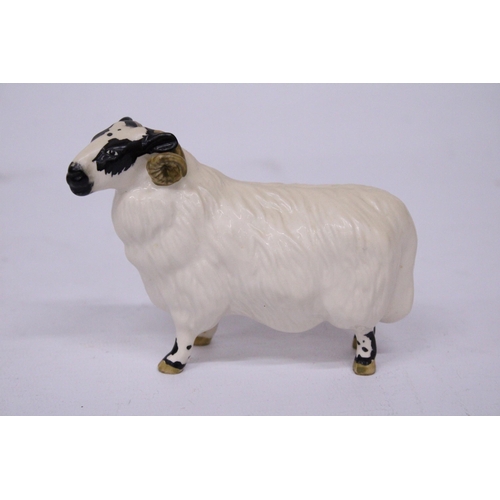 829 - A BESWICK BLACK FACED RAM