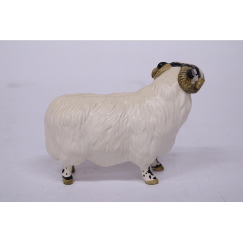 829 - A BESWICK BLACK FACED RAM