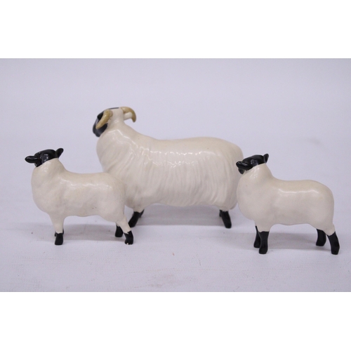 830 - A BESWICK BLACK FACED SHEEP WITH TWO LAMBS