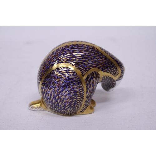 854 - A ROYAL CROWN DERBY BADGER WITH GOLD STOPPER