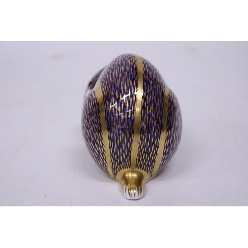 854 - A ROYAL CROWN DERBY BADGER WITH GOLD STOPPER