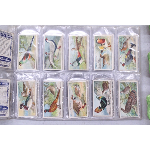 219 - A QUANTITY OF JOHN PLAYER & SONS ANIMAL THEMED CIGARETTE CARDS