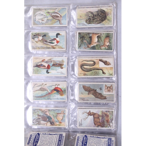 219 - A QUANTITY OF JOHN PLAYER & SONS ANIMAL THEMED CIGARETTE CARDS