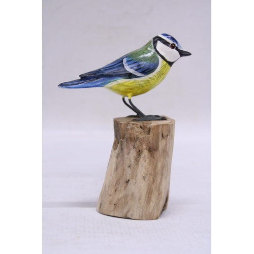 251 - A WOODEN BLUE TIT ON A WOODEN BASE, HEIGHT 15CM