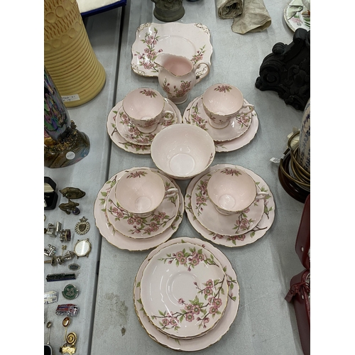 113A - A TUSCAN FINE ENGLISH BONE CHINA 