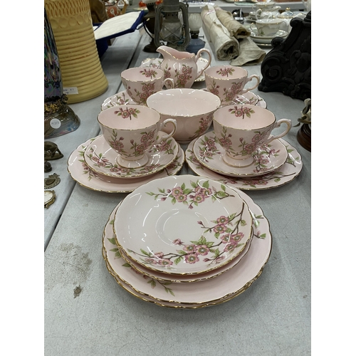 113A - A TUSCAN FINE ENGLISH BONE CHINA 