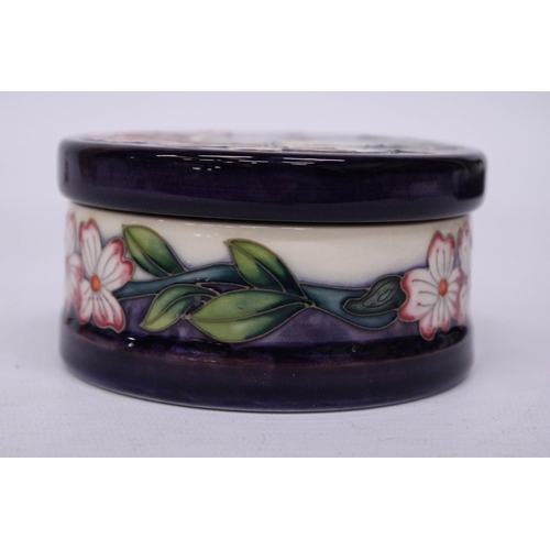 858 - A MOORCROFT BLUE GUARDIANS LIDDED POT