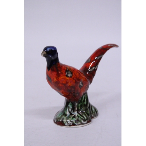 874 - AN ANITA HARRIS SMALL PHEASANT SIGNED IN GOLD