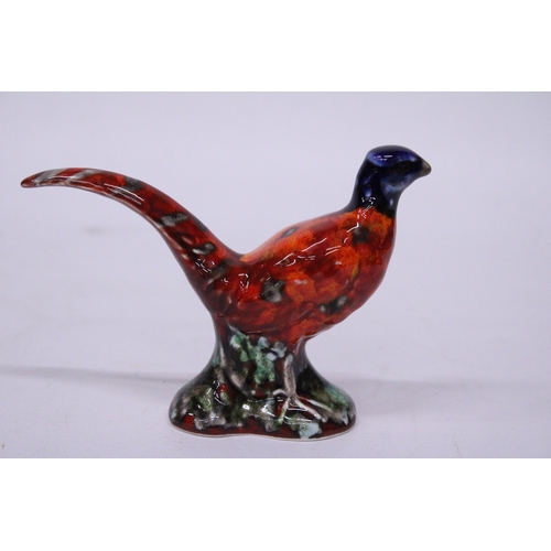 874 - AN ANITA HARRIS SMALL PHEASANT SIGNED IN GOLD