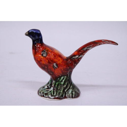 874 - AN ANITA HARRIS SMALL PHEASANT SIGNED IN GOLD