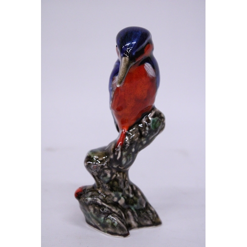 876 - AN ANITA HARRIS KINGFISHER SIGNED IN GOLD