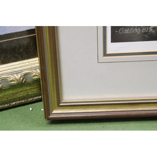 1091 - A GILT FRAMED PRINT OF A COUNTRY AND WOODLAND SCENE