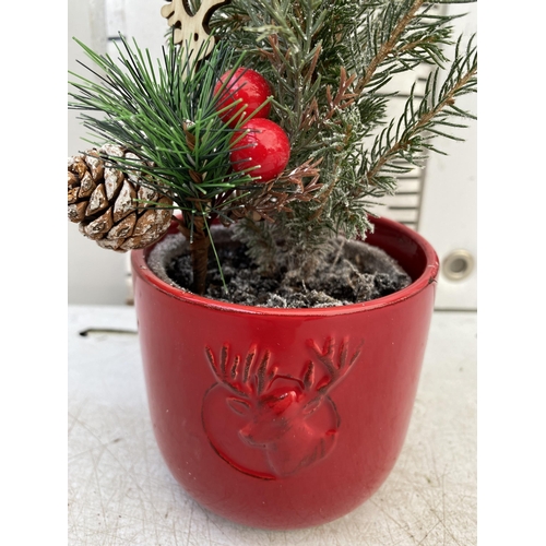 32 - EIGHT CHRISTMAS CONIFERS WITH CHRISTMAS DEER, BERRIES AND FIR CONES ACCESSORIES IN RED CERAMIC DEER ... 