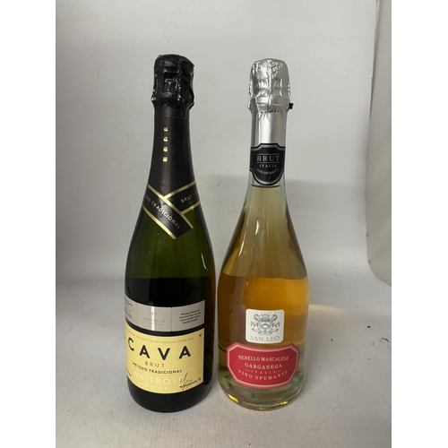 335 - A BOTTLE OF SAN LEO NERELLO MASCALESE GARGANEGA VINO SPUMANTE TOGETHER WITH A BOTTLE OF CAVA