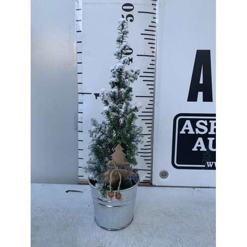 25 - TWELVE CHRISTMAS CYPRESS CONIFERS WITH SNOW EFFECT IN 9CM ZINC PAILS WITH CHRISTMAS ACCESSORIES. APP... 