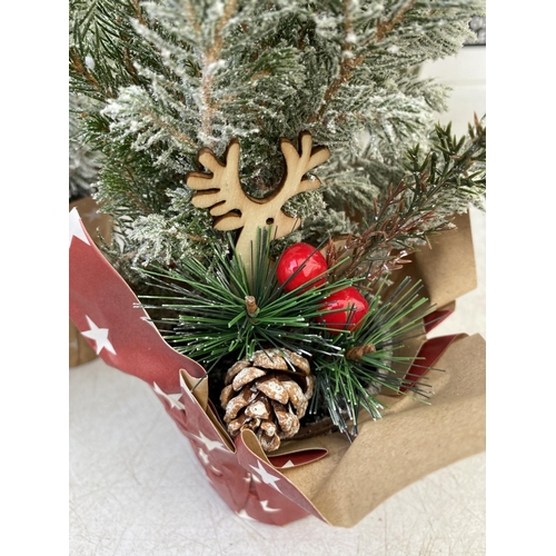 4 - TWELVE CHRISTMAS CONIFER PLANTS GIFT WRAPPED WITH CHRISTMAS ACCESSORIES. APPROX 40CM IN HEIGHT ON A ... 