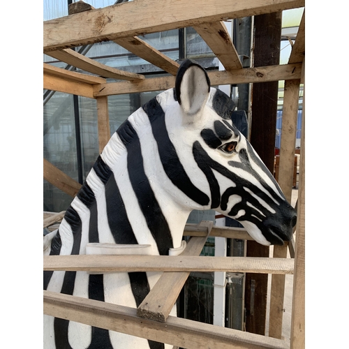 1501 - A LARGE FIBRE GLASS ZEBRA GARDEN FEATURE (H:184CM L:178CM)