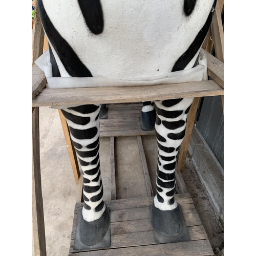 1501 - A LARGE FIBRE GLASS ZEBRA GARDEN FEATURE (H:184CM L:178CM)