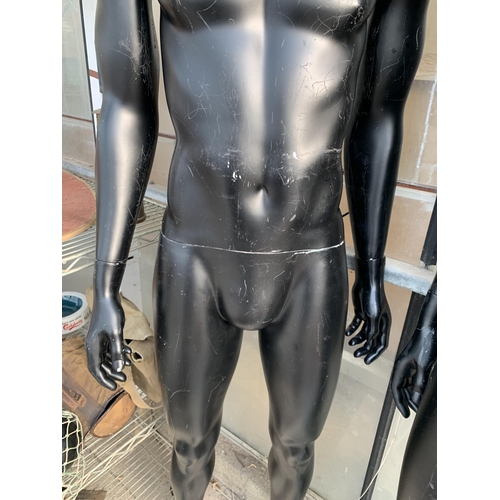 1524 - AN ADULT MALE SHOP MANNEQUIN