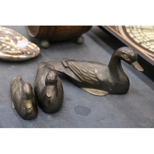 241 - THREE VINTAGE BRASS DUCKS