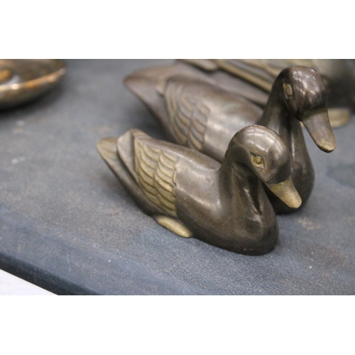 241 - THREE VINTAGE BRASS DUCKS